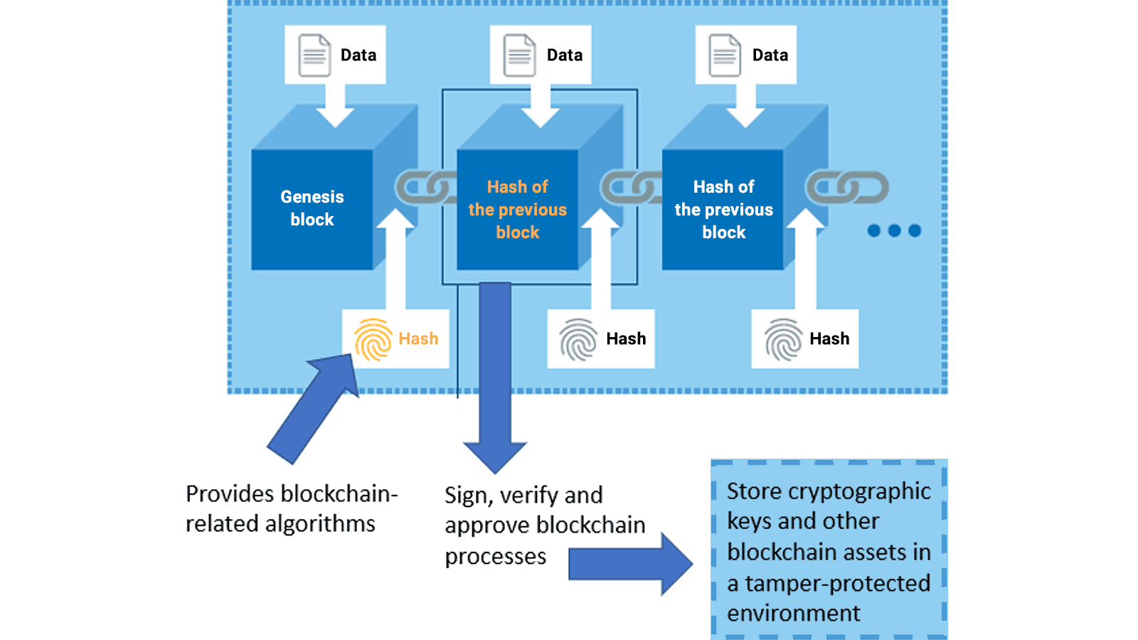 Blockchain Security Applications - Utimaco