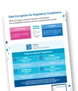 Data Encryption for Regulatory Compliance