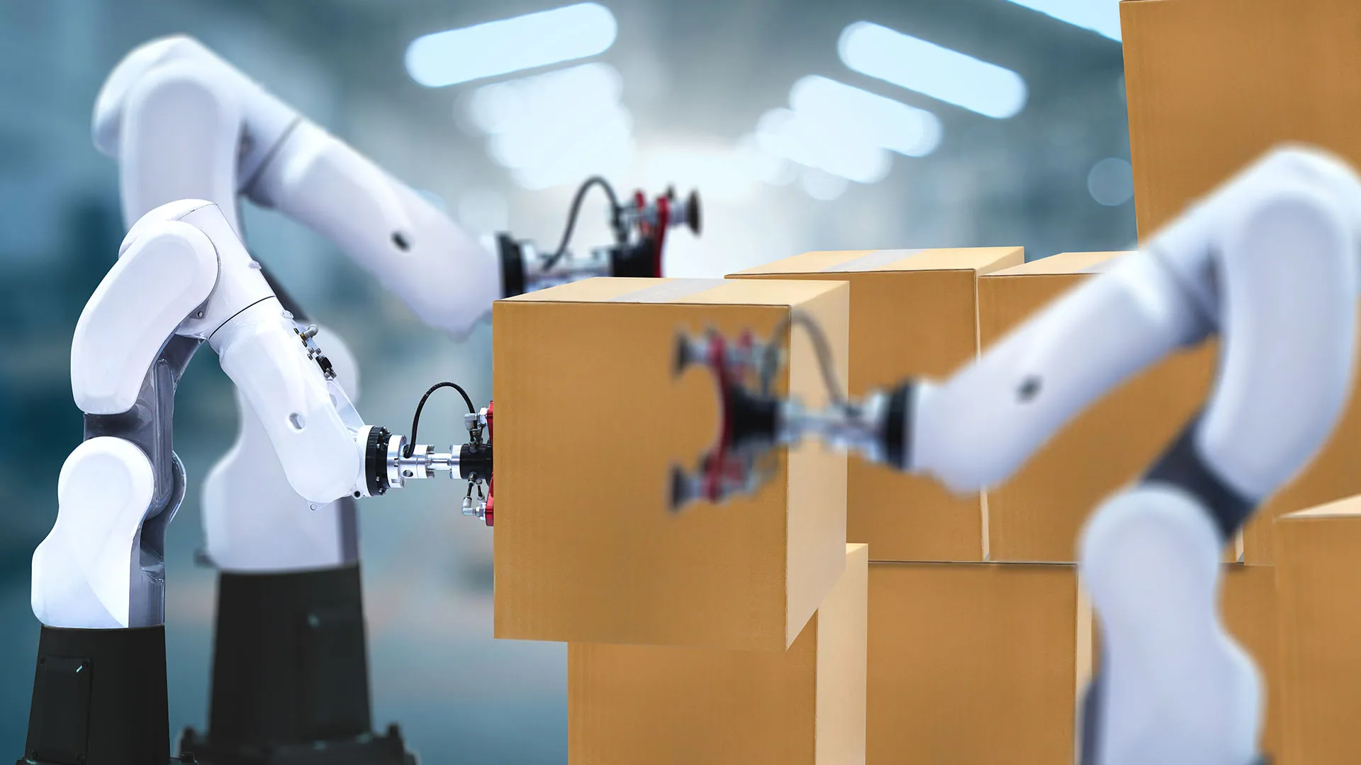 Robots moving boxes