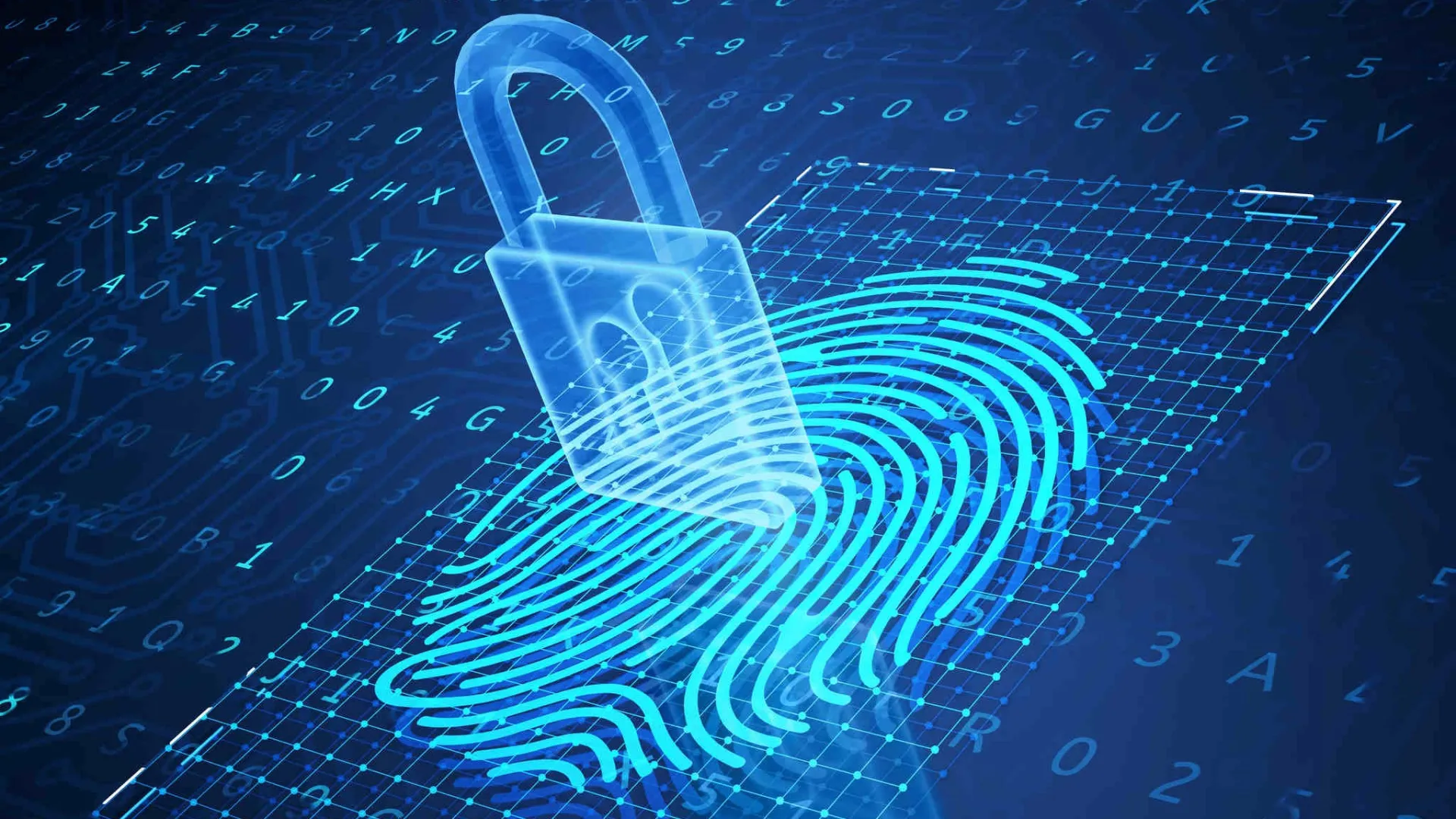 PKI Basics White Paper 