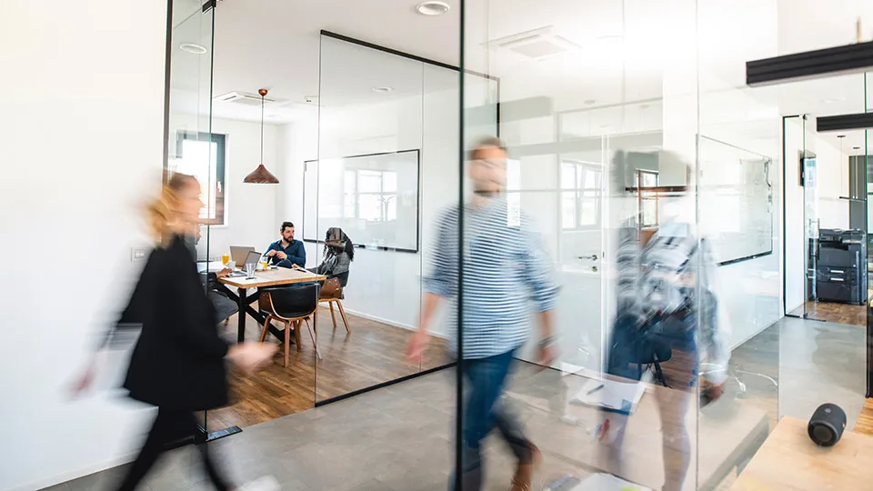 Offices & Partners
