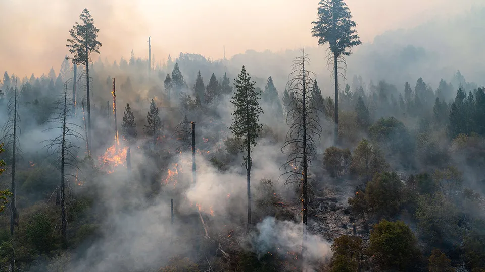 Public Safety Communications Wildfire